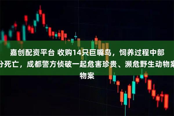 嘉创配资平台 收购14只巨嘴鸟，饲养过程中部分死亡，成都警方侦破一起危害珍贵、濒危野生动物案